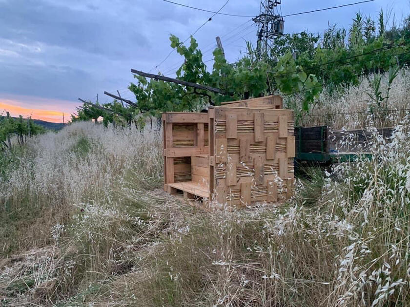 Kompostni WC z razgledom